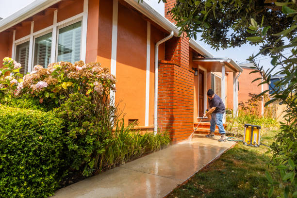 Best Pressure Washing Contractors  in Buna, TX